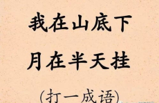 暗中下围棋(打一成语),揭秘围棋中的成语智慧