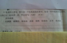 一家11口打一字谜,一家十一口，揭开谜底之谜